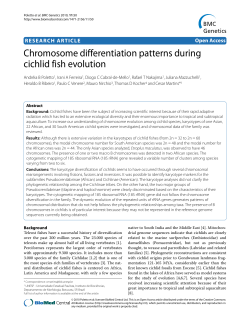 Chromosome differentiation patterns during cichlid