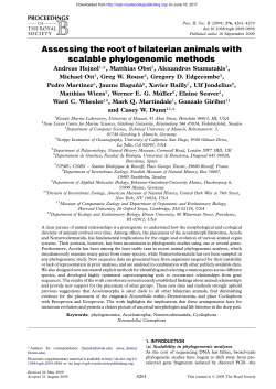 Assessing the root of bilaterian animals with scalable phylogenomic