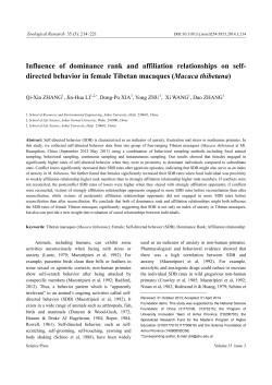 Influence of dominance rank and affiliation relationships on self