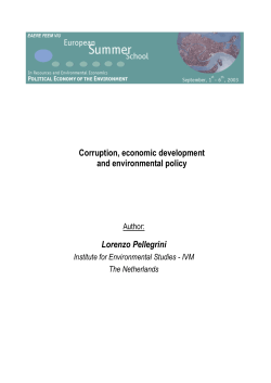 Corruption, economic development and environmental policy