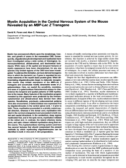 Myelin Acquisition in the Central Nervous System of the Mouse