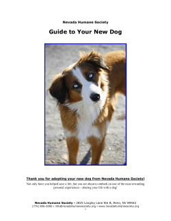 Guide to Your New Dog - Nevada Humane Society