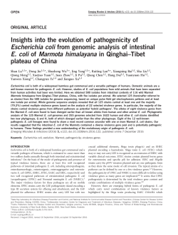 Insights into the evolution of pathogenicity of Escherichia