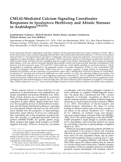 CML42-Mediated Calcium Signaling Coordinates