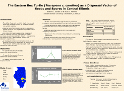 (Terrapene c. carolina) as a Dispersal Vector of Seeds and Spores in