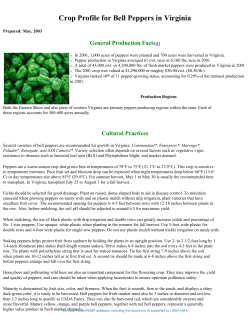 CROP PROFILE for BELL PEPPERS in VIRGINIA