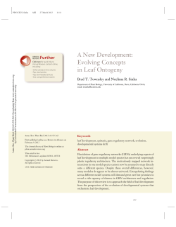 A New Development - Universidad Veracruzana