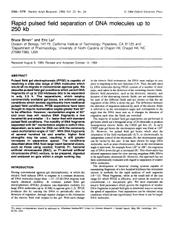 Rapid pulsed field separation of DNA molecules up to 250 kb