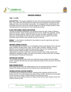 Amazing Animals - Ojibway Nature Centre