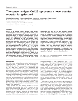 The cancer antigen CA125 represents a novel counter receptor for