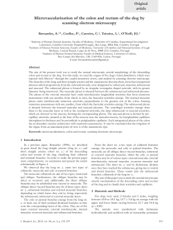 Complete Article - Journal of Morphological Science