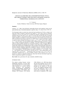 linear allometric relationship between total metabolic energy per life