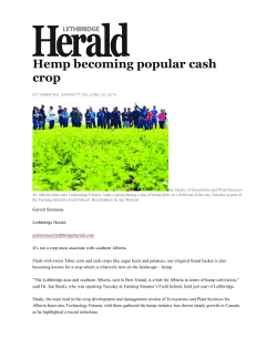 Hemp becoming popular cash crop