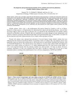 Development and partial characterization of two cell lines derived