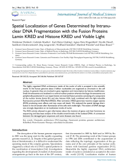 Spatial Localization of Genes Determined by Intranu