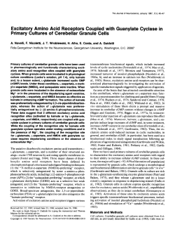 Excitatory Amino Acid Receptors Coupled with Guanylate Cyclase in