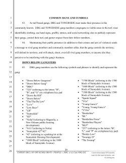 PDF of the Expert Declaration Part 3: Clothing (Aug. 11, 2010)