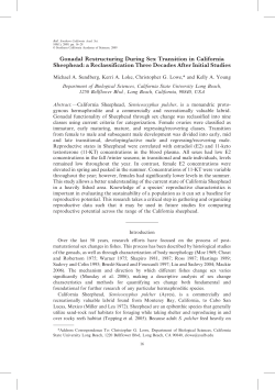 Gonadal Restructuring During Sex Transition in