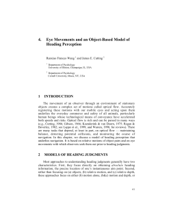 4. Eye Movements and an Object-Based Model