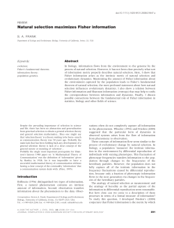 Natural selection maximizes Fisher information