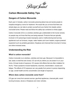 Carbon Monoxide Safety Tips
