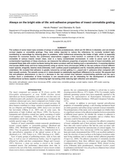 Always on the bright side of life: anti