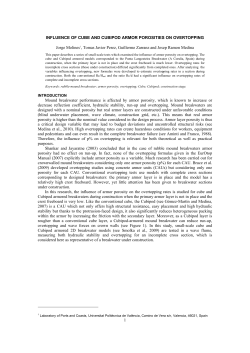 1 INFLUENCE OF CUBE AND CUBIPOD ARMOR POROSITIES ON