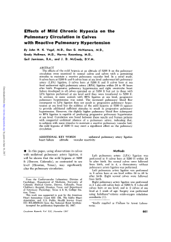 Effects of Mild Chronic Hypoxia on the Pulmonary Circulation in