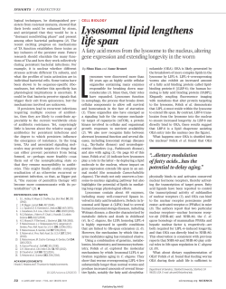 Lysosomal lipid lengthens life span