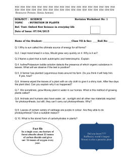Class VII -Science- Nutrition in Plants