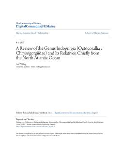 A Review of the Genus Iridogorgia