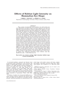 Effects of Habitat Light Intensity on Mammalian Eye