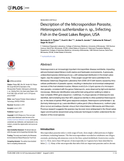 Description of the Microsporidian Parasite, Heterosporis