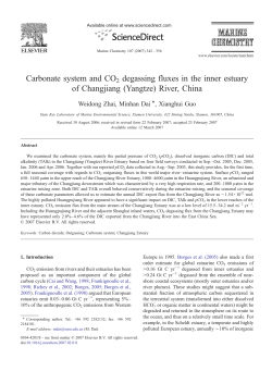 Carbonate system and CO2 degassing fluxes in the inner estuary of