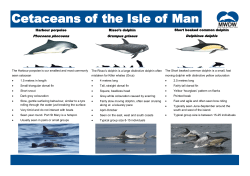 Printable A4 Identification Guide, double sided