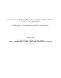 Capstone Paper  - JScholarship
