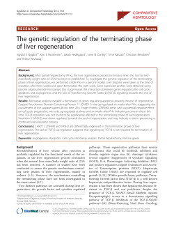 The genetic regulation of the terminating phase of liver