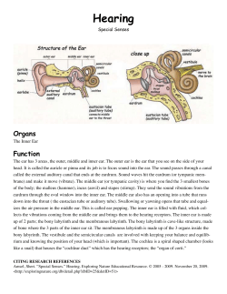 Hearing - Exploring Nature