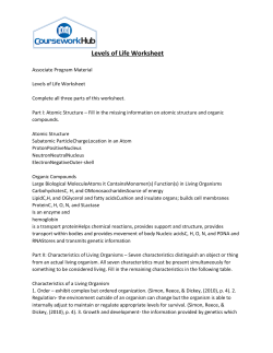 Levels of Life Worksheet