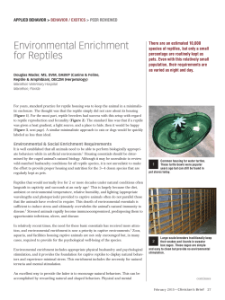 Environmental Enrichment for Reptiles