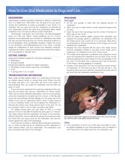 How to Give Oral Medication to Dogs and Cats