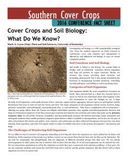 Southern Cover Crops