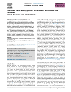Influenza virus hemagglutinin stalk