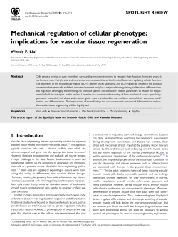 Mechanical regulation of cellular phenotype: implications for