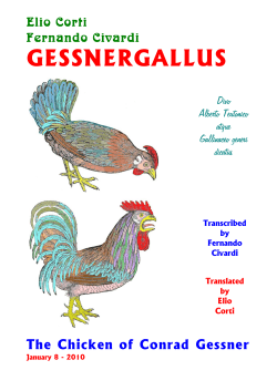 de gallo gallinaceo, et iis omnibus