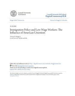 Immigration Policy and Low Wage Workers