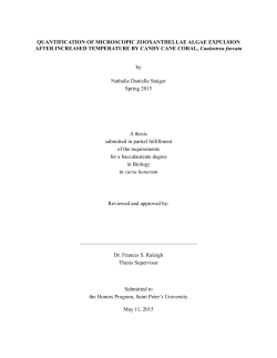 QUANTIFICATION OF MICROSCOPIC ZOOXANTHELLAE ALGAE