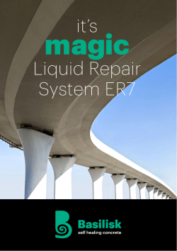 it`s Liquid Repair System ER7