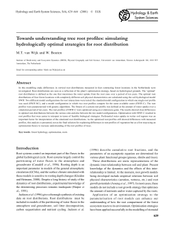 Towards understanding tree root profiles