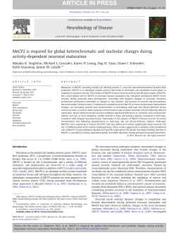 MeCP2 is required for global heterochromatic and